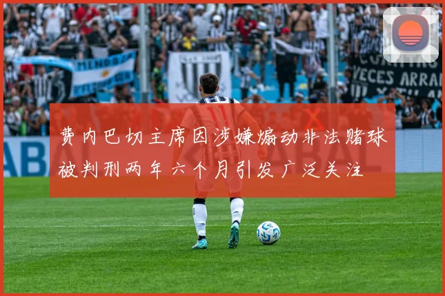 费内巴切主席因涉嫌煽动非法赌球被判刑两年六个月引发广泛关注