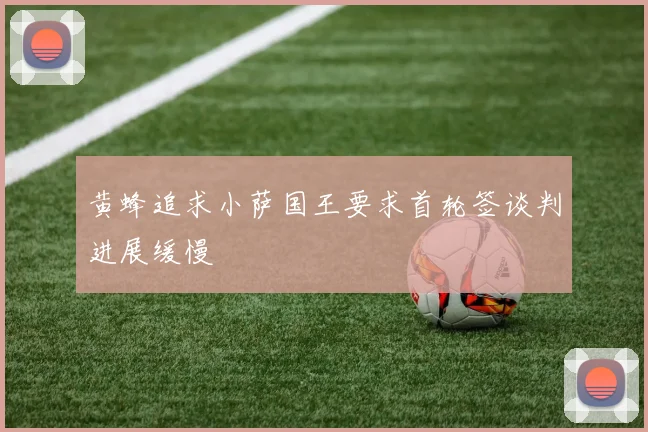 黄蜂追求小萨国王要求首轮签谈判进展缓慢